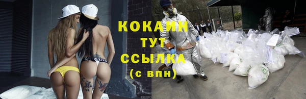 спайс Бородино