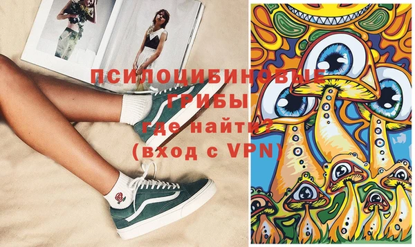 спайс Бородино