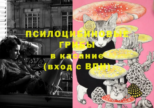 спайс Бородино