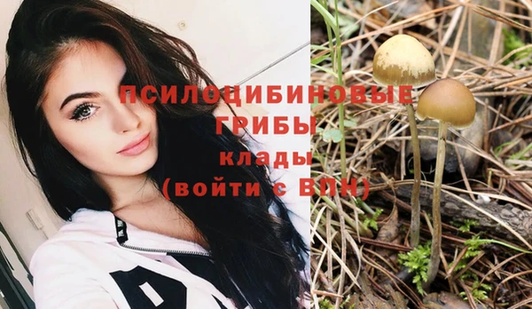 спайс Бородино