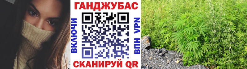 Каннабис OG Kush  Дигора 